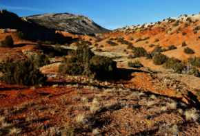 The Pryors are home to Montana's only red-rock desert ecosystem (John Boehmke)