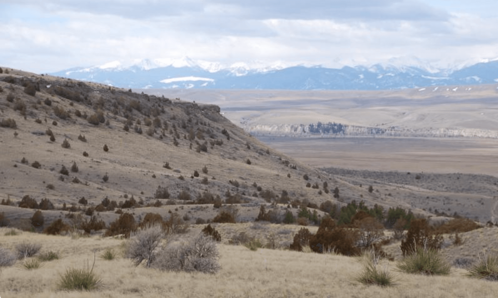 Trail of the Week: Madison Buffalo Jump State Park – Wild Montana