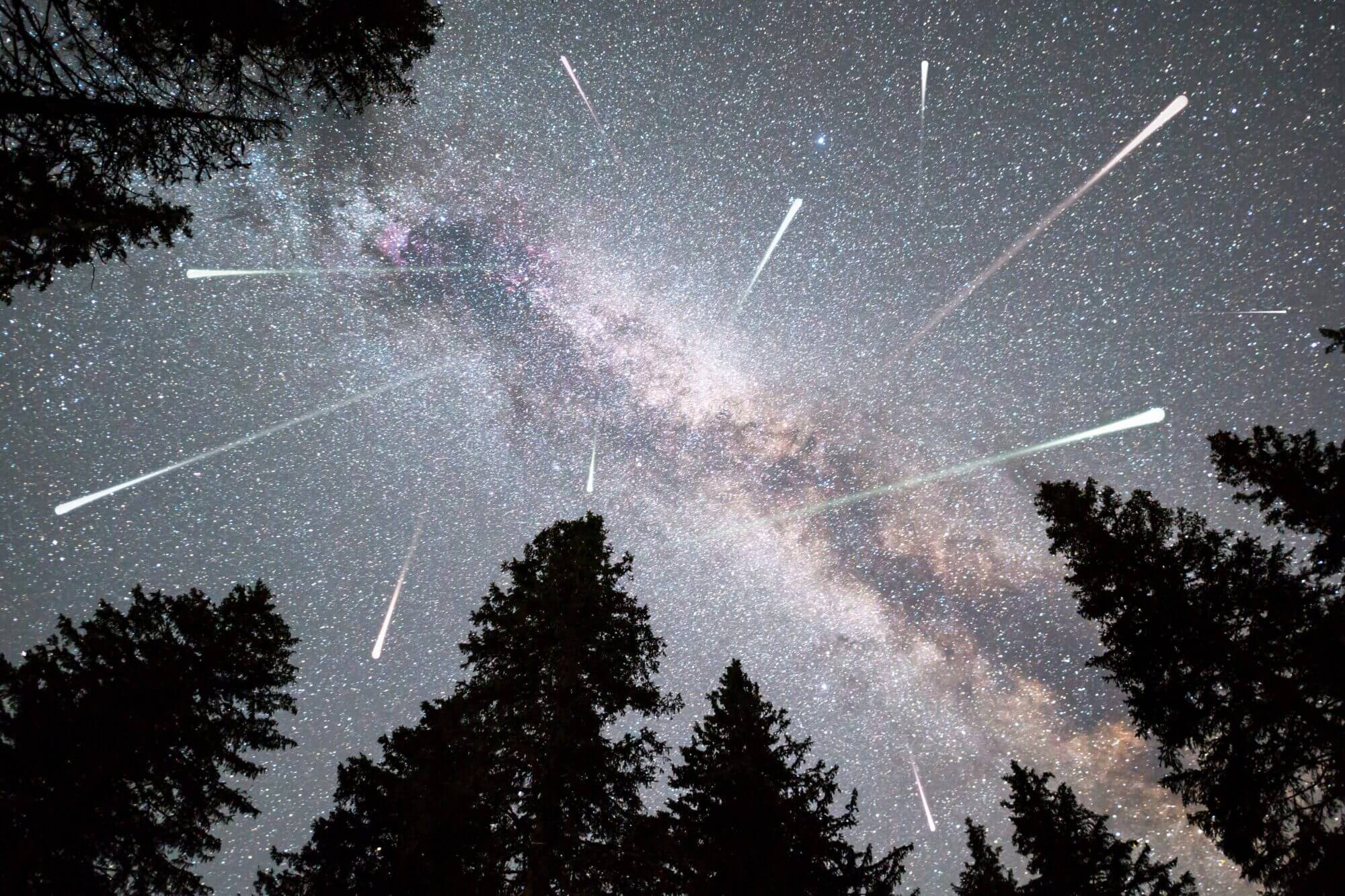 Where to View the Perseid Meteor Shower in Montana Wild Montana