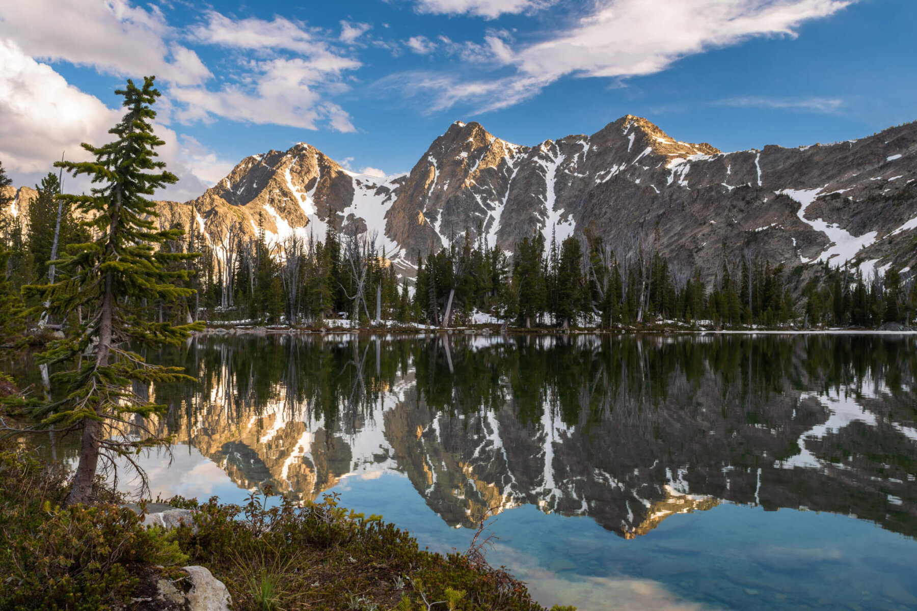 Announcing Winners of the 14th Annual Picture Wild Montana Photo ...