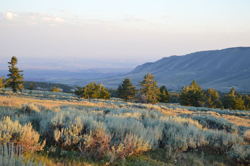 Pryor Mountains Map Launch – Wild Montana