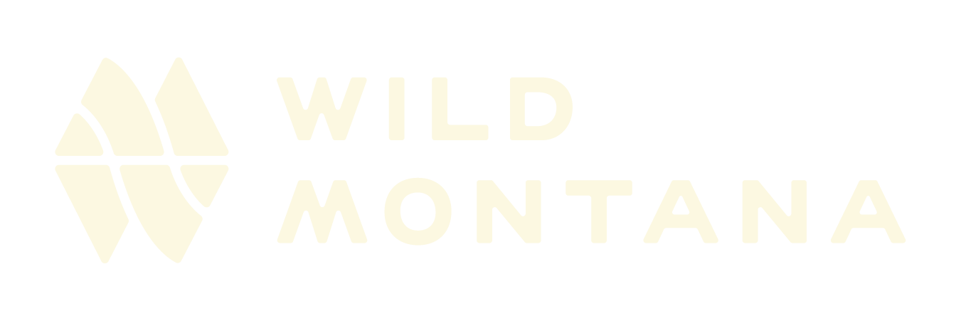 Montana Sunset Belt — Wilder Creations