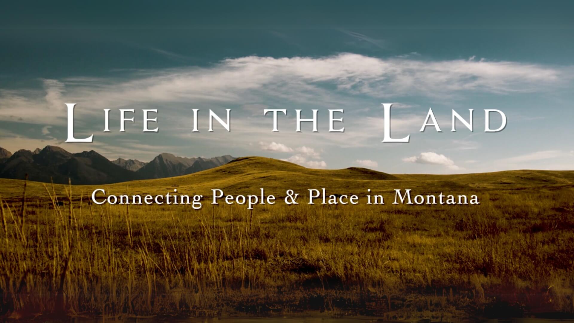 Life In The Land