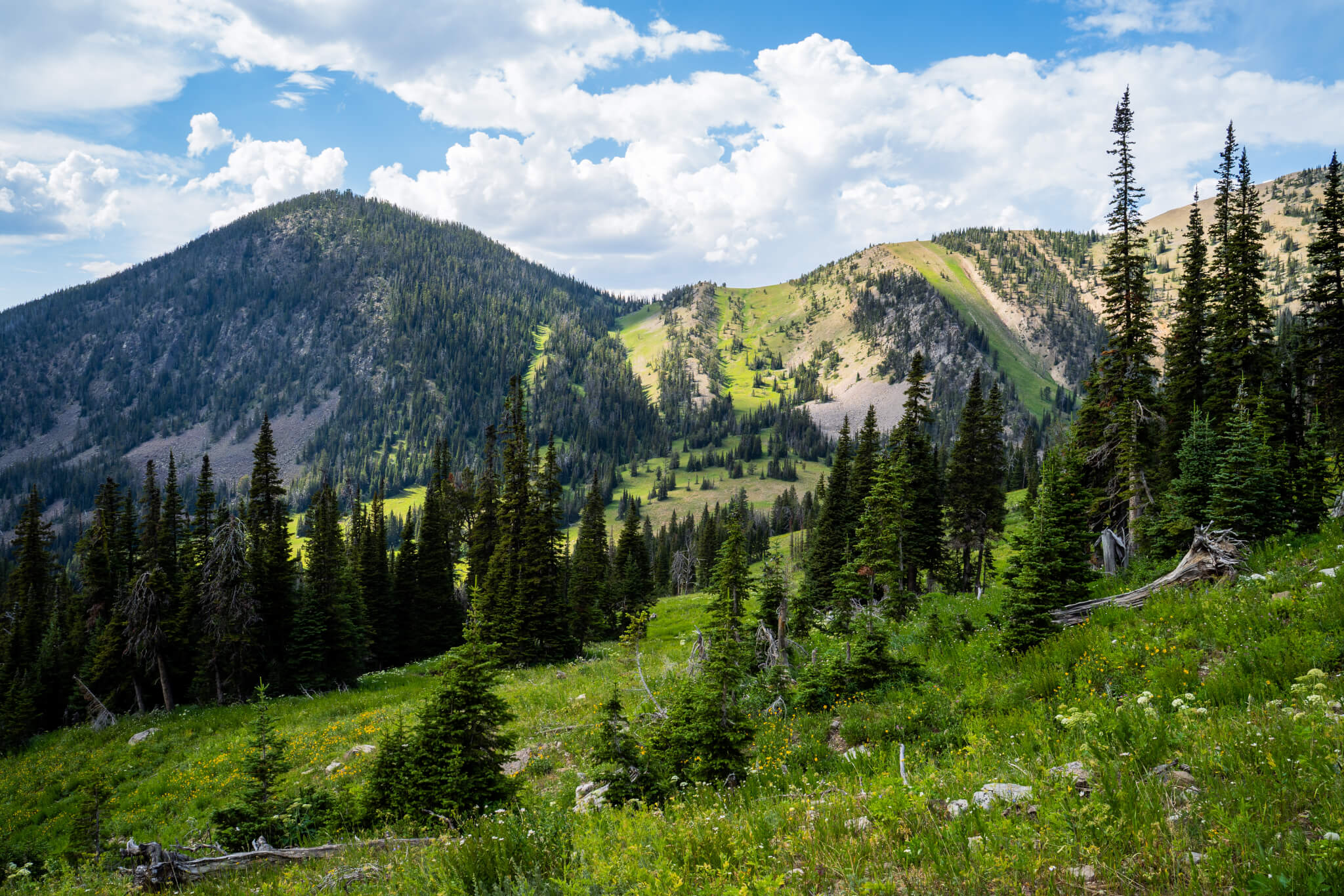 Where We re Going We Don t Need - KurtWehde 04497 