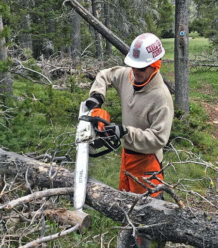 Man with chainsaw sawing through downed tree