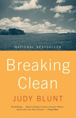 Breaking Clean book cover