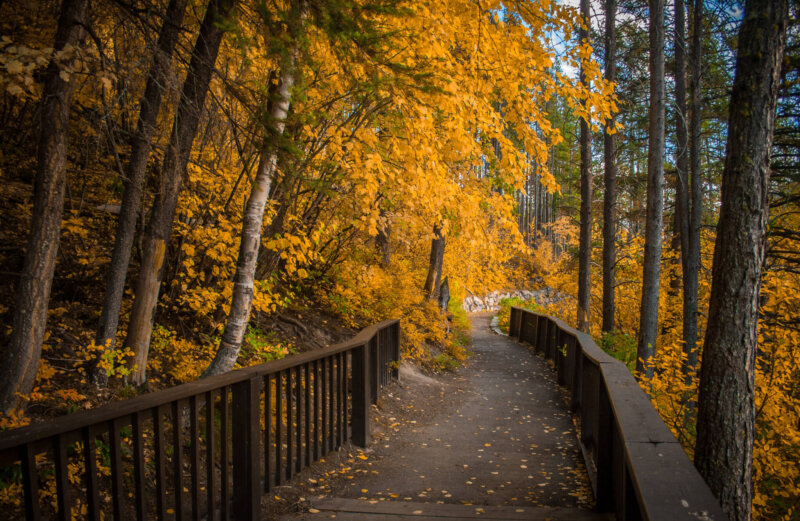 Sparkle And Shine Trail