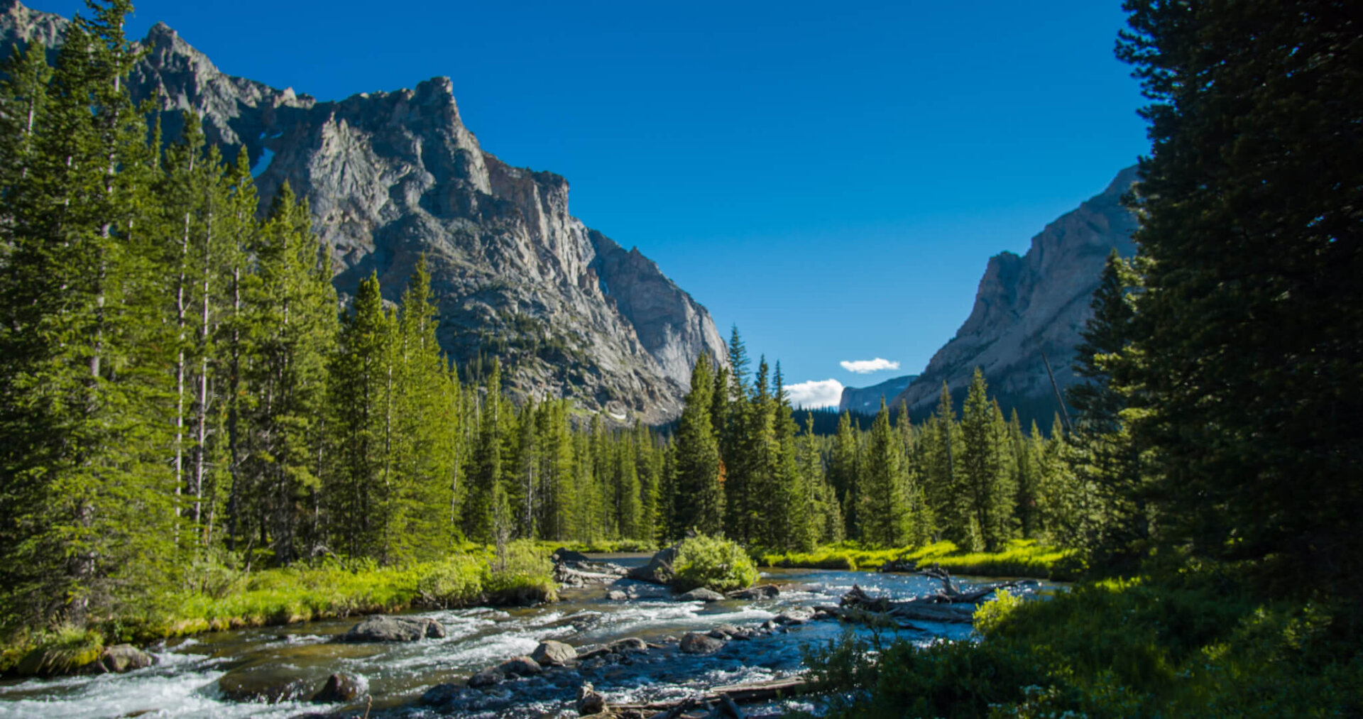 Nine Reasons to Love Wilderness – Wild Montana