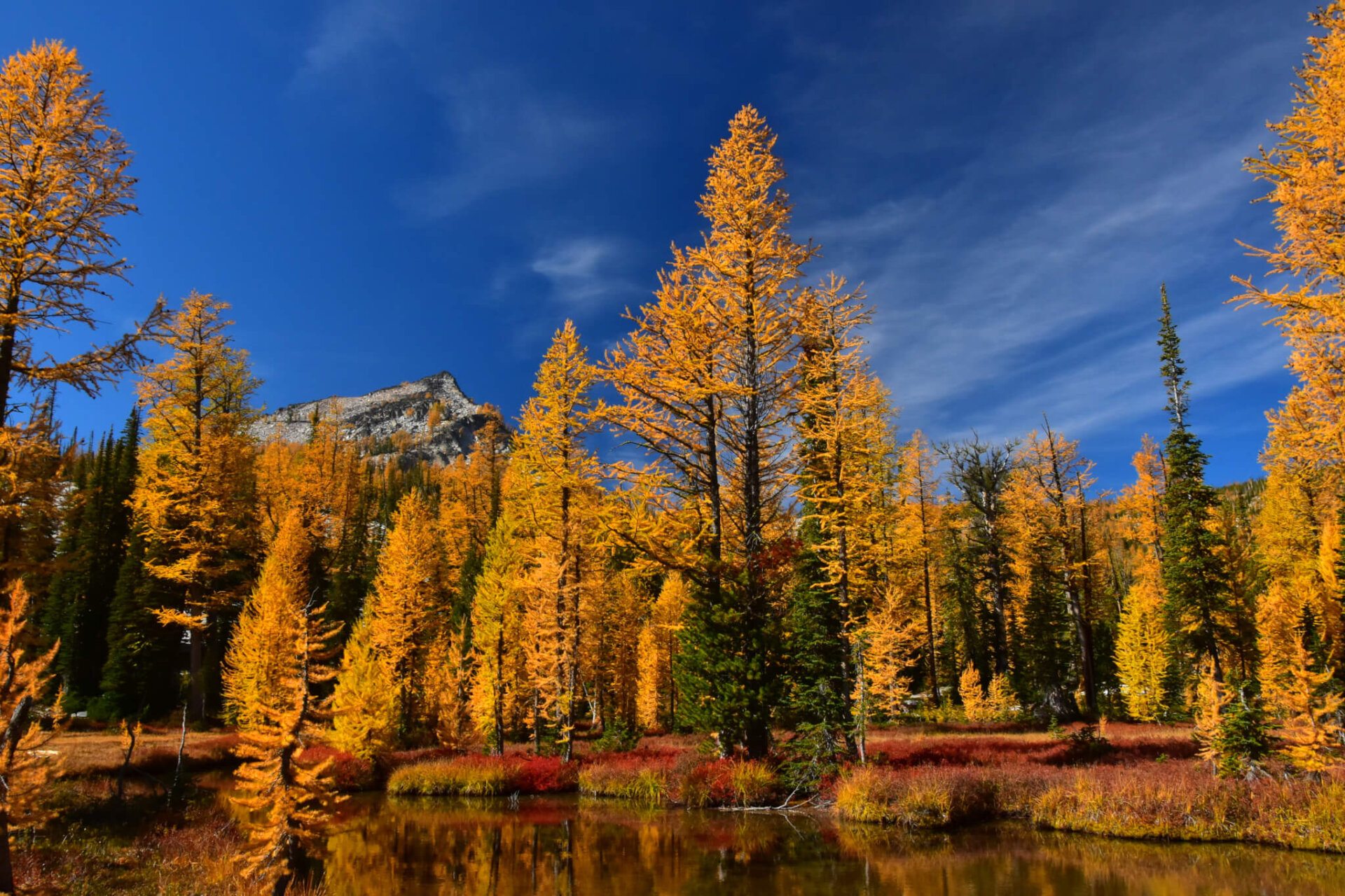 Trail Of The Week Camas Lake Wild Montana