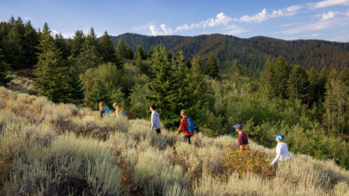 Hike Wild Montana Get outside and explore Montana's public lands